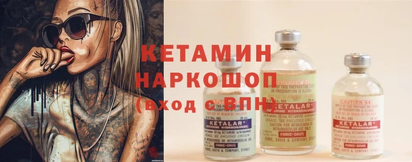 индика Переславль-Залесский