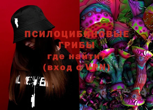 индика Переславль-Залесский
