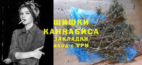 индика Переславль-Залесский