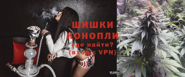 индика Переславль-Залесский